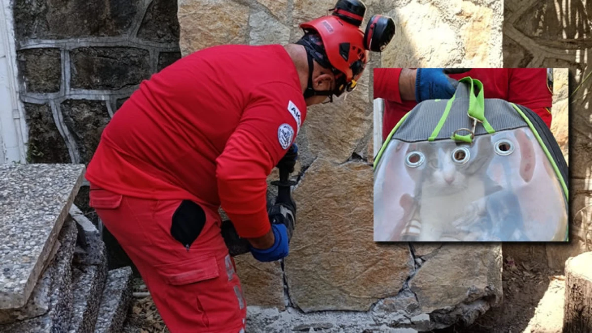11 gündür mahsur kalan kedi operasyonu!