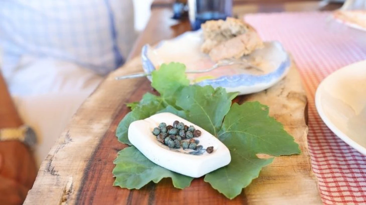Agro Bodrum Rotası Artık Daha G&ouml;r&uuml;n&uuml;r