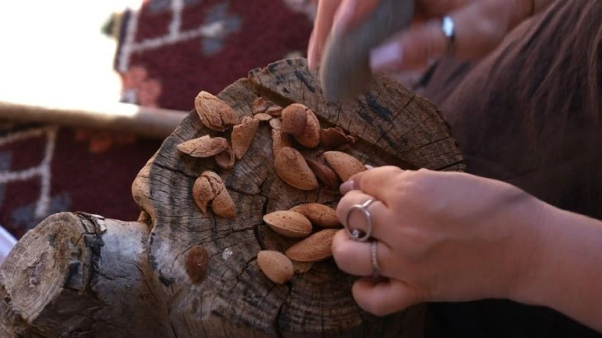 Agro Bodrum Rotası Turizme A&ccedil;ıldı