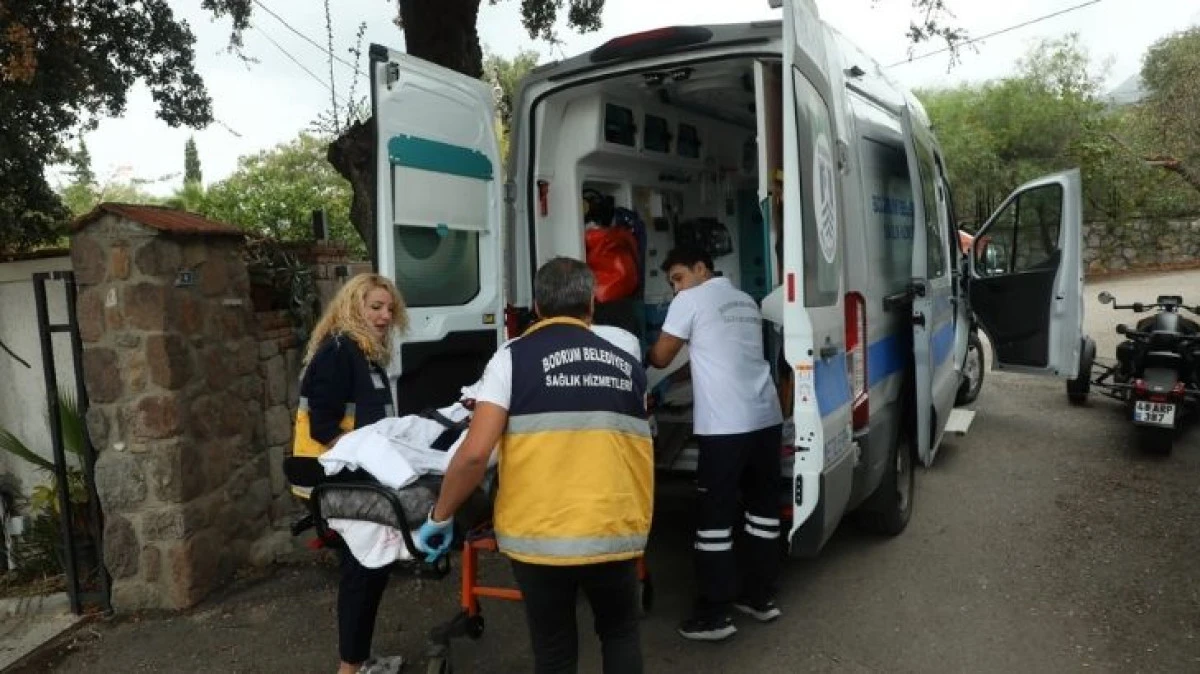 Bodrum Genelinde Sağlık Hizmeti