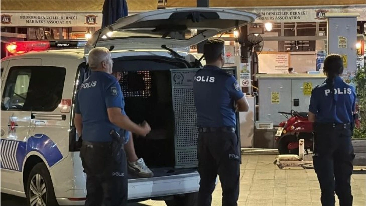 Bodrum’da Dehşeti Yaşattılar!