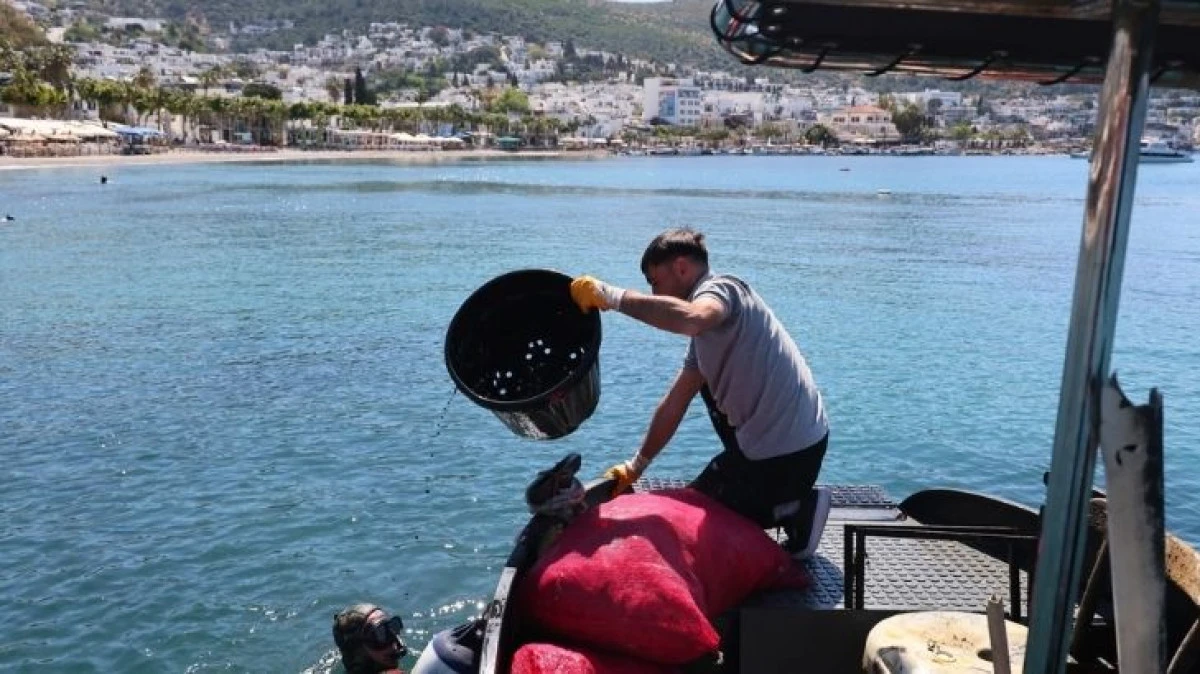 Bodrum’da Denizden 228 Kilo Atık Çıktı