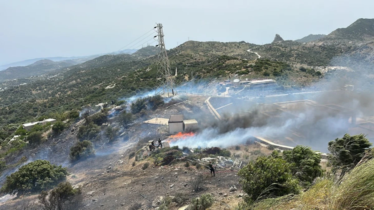 Bodrum’da yangın fırtınası!