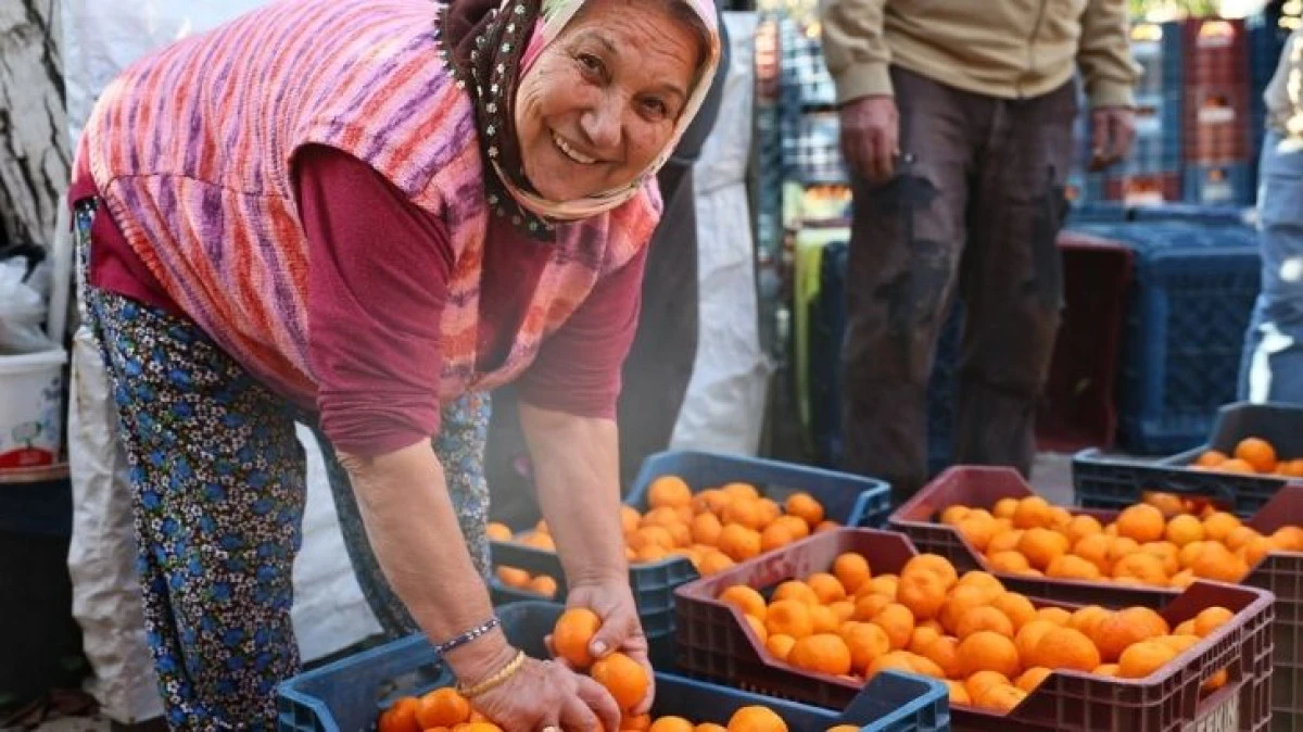 Bodrum&rsquo;un Turuncu Mirası T&uuml;rkiye&rsquo;ye A&ccedil;ıldı