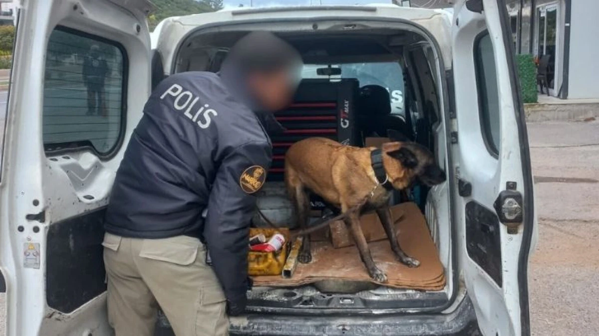 Büyük Asayiş Uygulaması