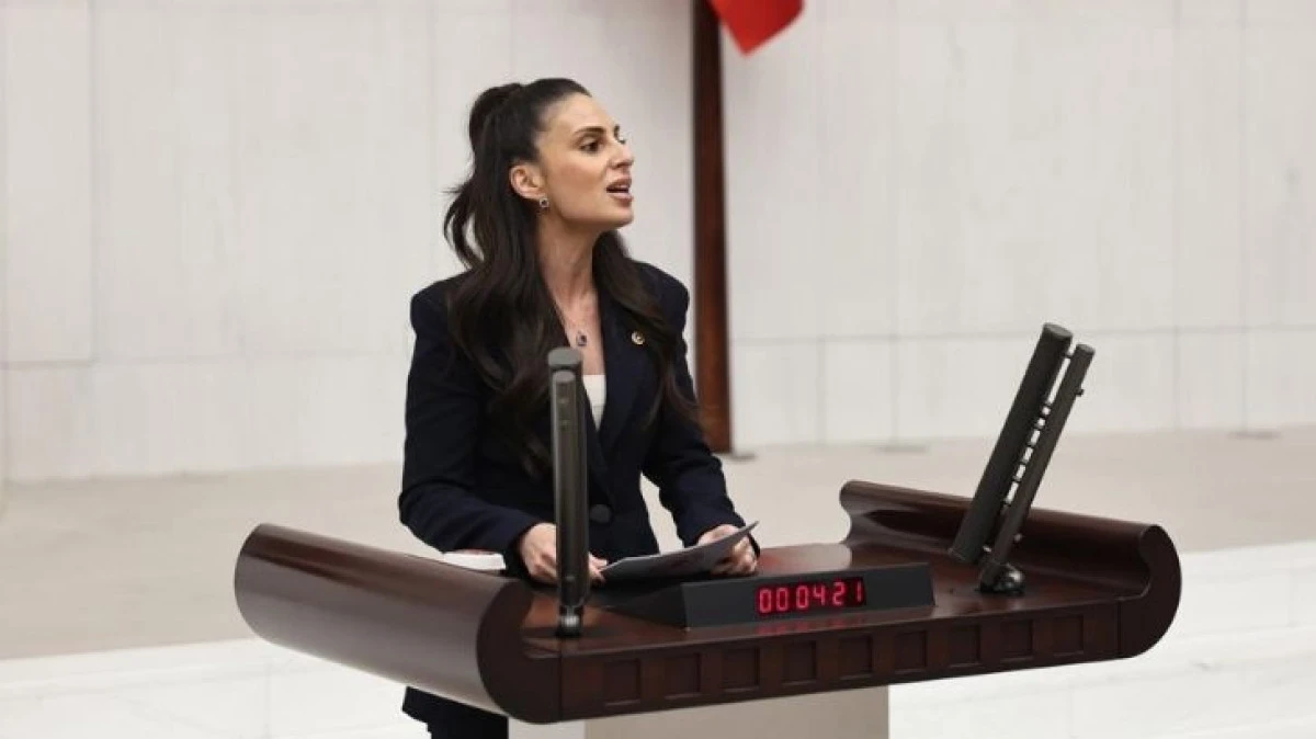 CHP&rsquo;li &Ouml;zcan&rsquo;dan AK Partili Mete&rsquo;ye Sert Yanıt