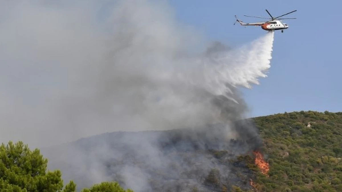 Güvercinlik’te Orman Yangını
