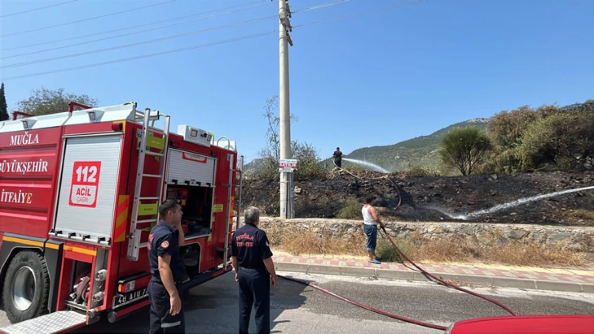 Karga Bodrum’da yangın çıkarttı!