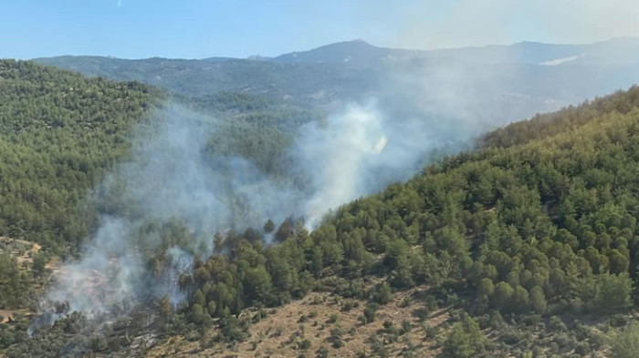 Korkutan yangın söndürüldü