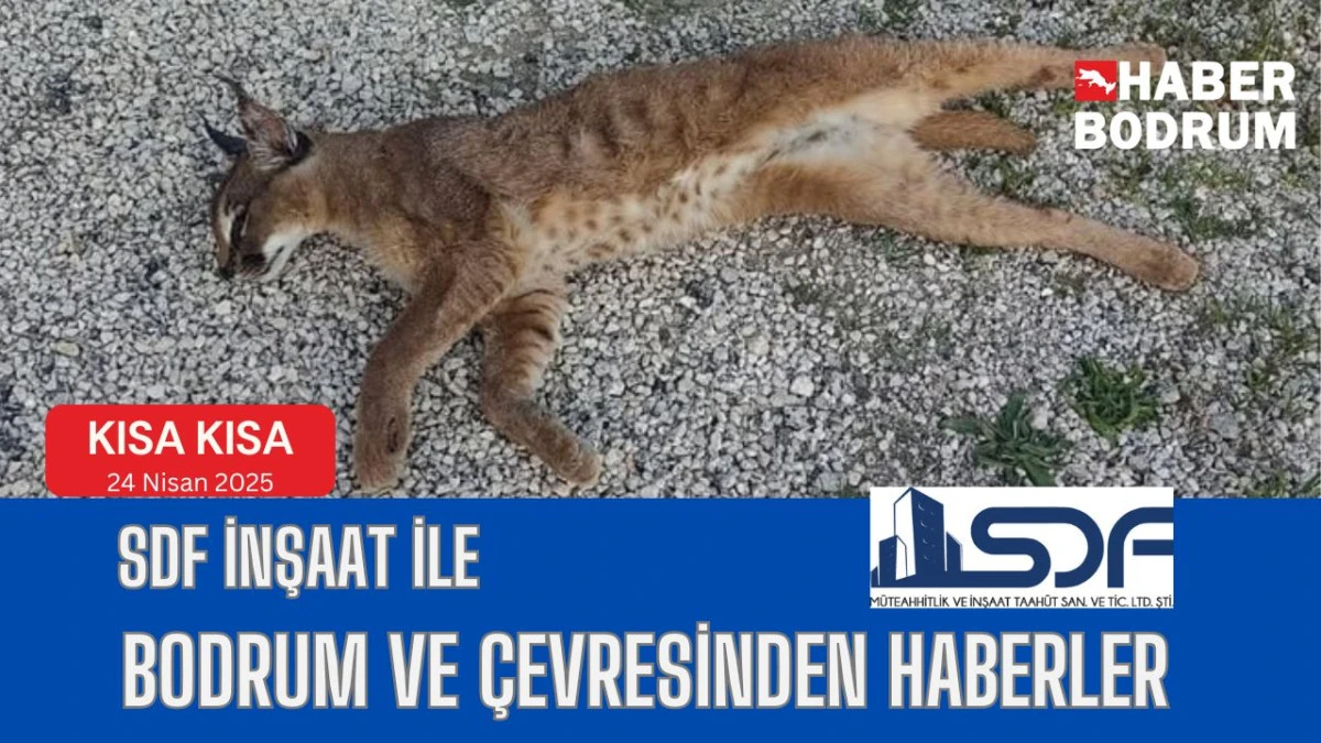 SDF İNŞAAT’la Bodrum ve çevresinde son 24 saat! (24 Nisan 2025 Perşembe)
