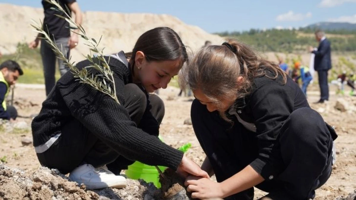 Taşınan her zeytin ağacı i&ccedil;in yeni bir fidan: Milas&rsquo;ta 4 bin fidan toprakla buluştu