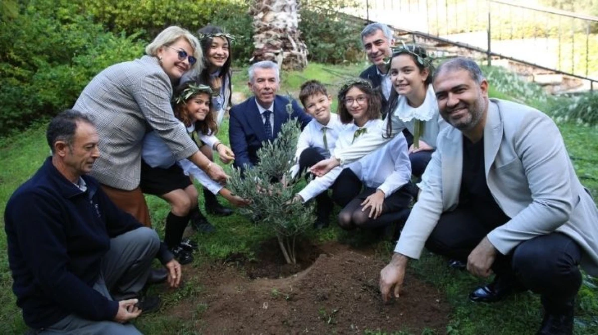 Zeytin Festivali 9. Kez Düzenlendi