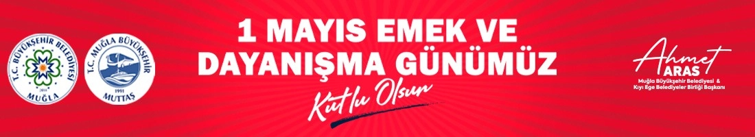 Ahmet Aras